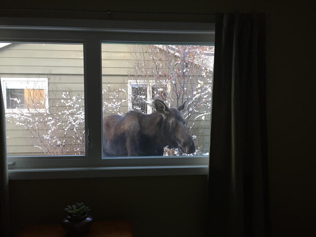 Turnagain Guest House Anchorage Esterno foto